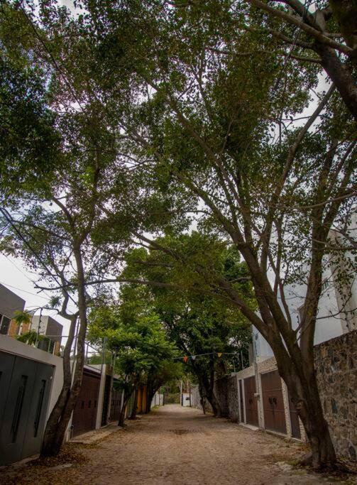 Willa ¡Nueva! Bamboo La Guayaba Jiutepec Zewnętrze zdjęcie